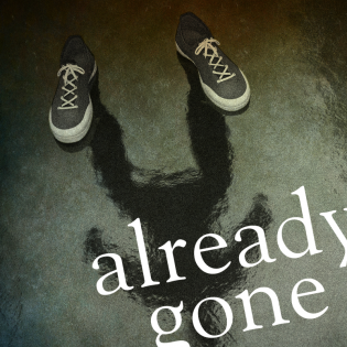 Already Gone - True Crime Podcast